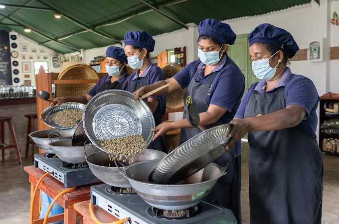 Ceylon Kahawa team roasting coffee beans by hand