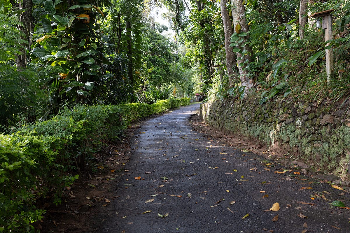 Roseland cottages, Bandarawela